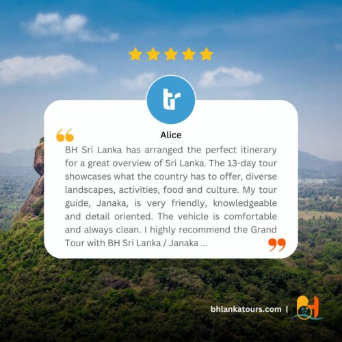 tourradar review
